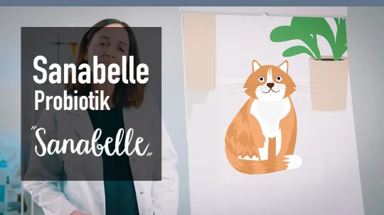 Katzenfutter Sanabelle Probiotik